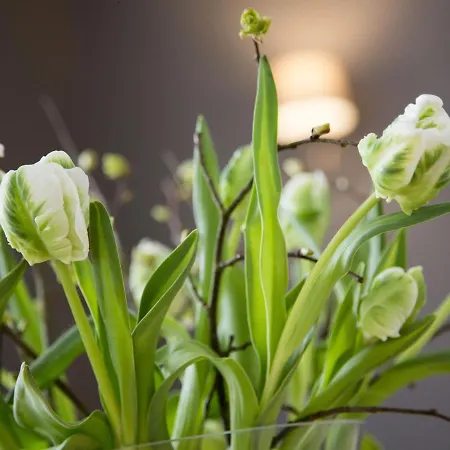 La Chartreuse - 波尔多