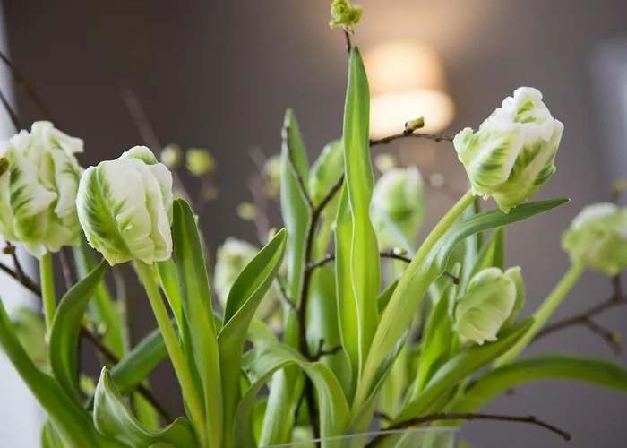 La Chartreuse - Burdeos